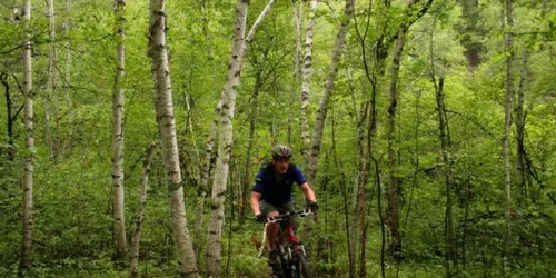 Bicicliştii se pot întrece într-o competiţie oficială
