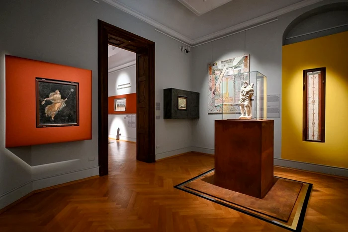 Expoziția  „Fragilitatea Eternului” (© Muzeul Național de Artă Timișoara)