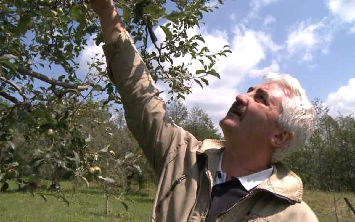 Ministerul Agriculturii promite fonduri europene pentru agricultură destul de consistente