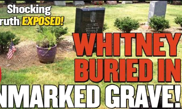 whitney jpeg
