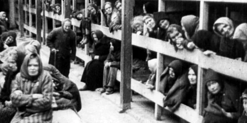 Deţinutul 108767 sau viaţa ca un iad din lagărul Auschwitz Birkenau a unui evreu plecat din România: „Aici eşti un zero  Ai ucis? Nu! Ei te socotesc un jidan murdar“ jpeg