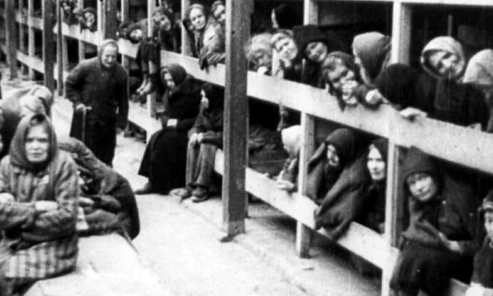 Deţinutul 108767 sau viaţa ca un iad din lagărul Auschwitz Birkenau a unui evreu plecat din România: „Aici eşti un zero  Ai ucis? Nu! Ei te socotesc un jidan murdar“ jpeg