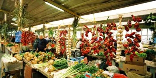 Satu Mare: Adevărul la minut