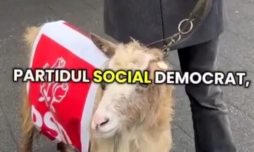 capra cu sigla psd jpeg