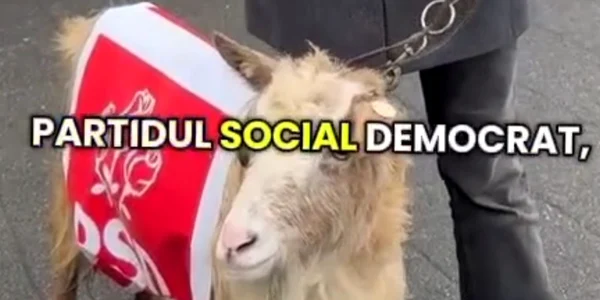 capra cu sigla psd jpeg