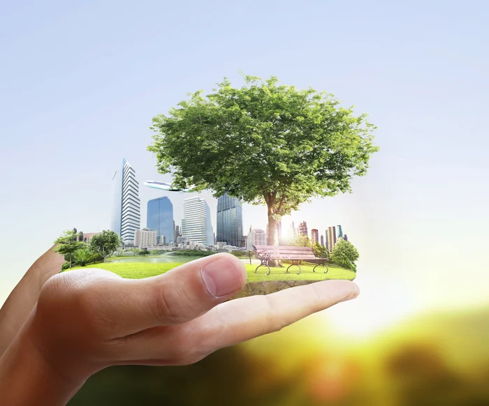 Ministrul Energiei anunță un program multianual de investiții pentru orașe verzi/FOTO: Shutterstock