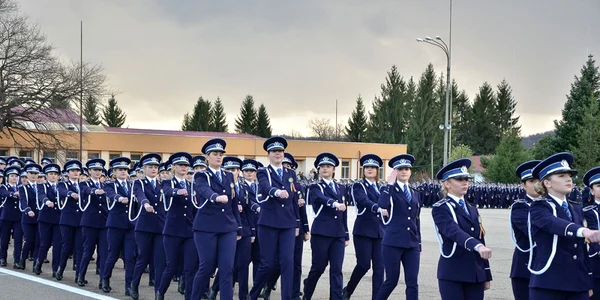 scoala politie campina