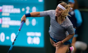 dominika cibulkova x