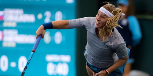 dominika cibulkova x