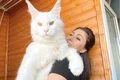 foto front 1 pisica instagram jpg