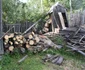 carbuni bistrita 8