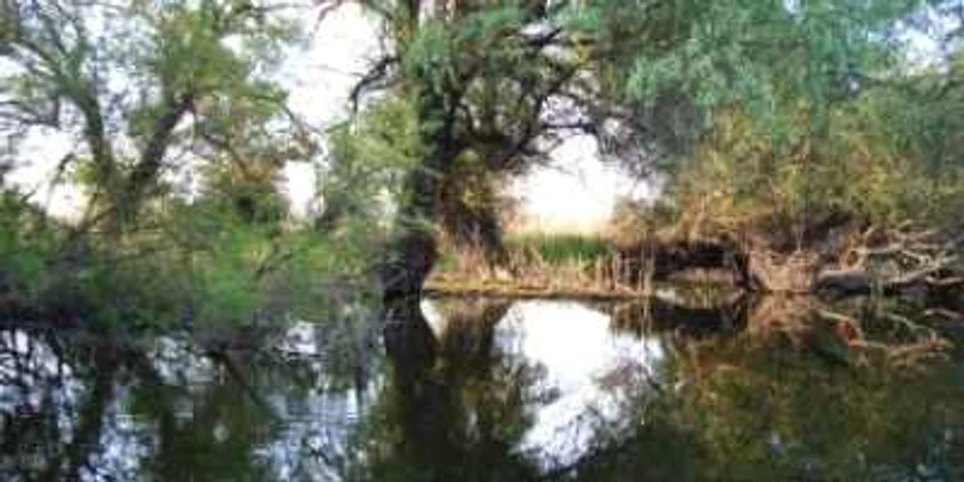 România respinge acuzaţiile Ucrainei cu privire la Delta Dunării
