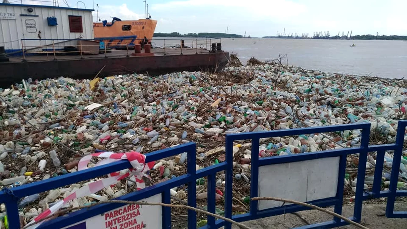 
    Galați. Dunărea este invadată de tone de gunoaie: sticle, bidoane, cadavre de animale, crengi, pungi din plasticFOTO: adevarul.ro  