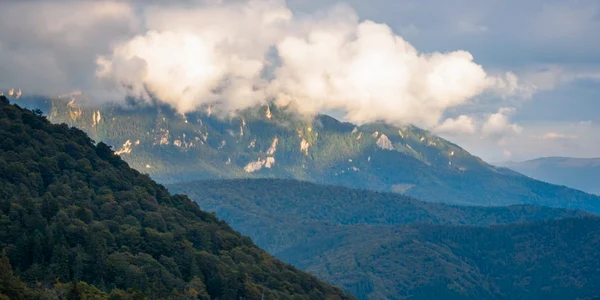 romania neimblanzita