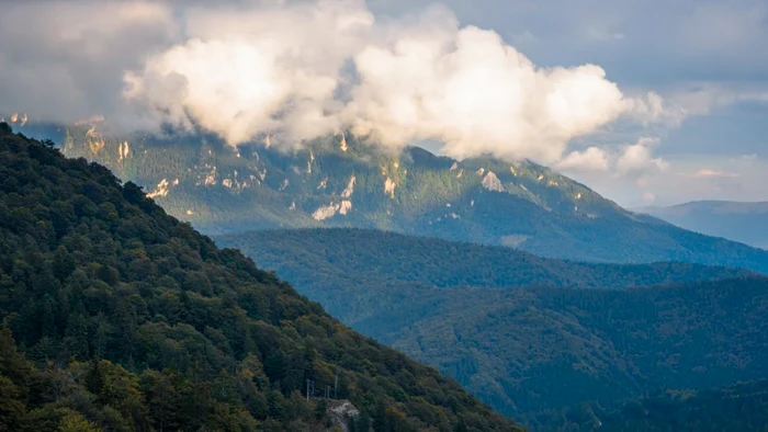 romania neimblanzita