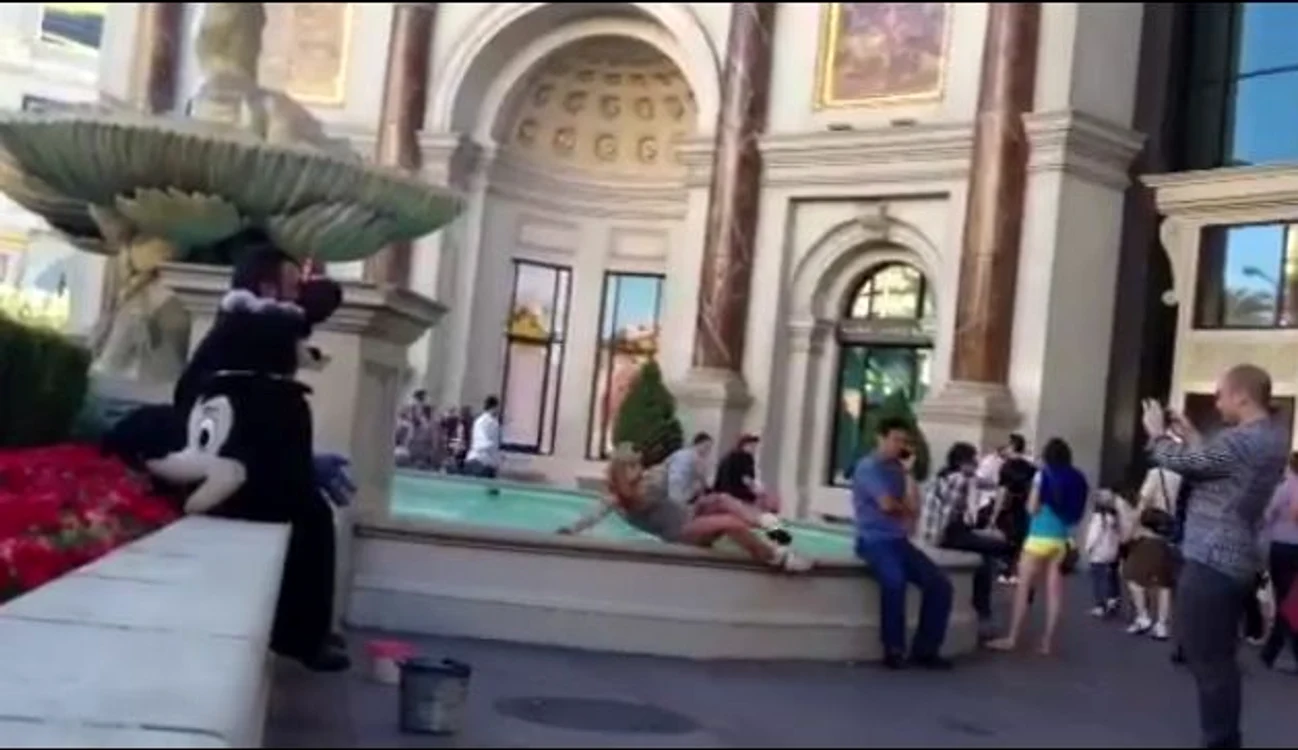 Captură video