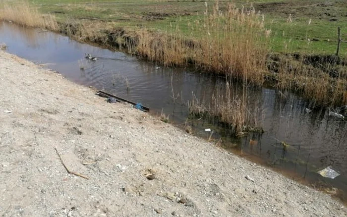 Pârâul în care a căzut fetiţafoto: ISU Brașov