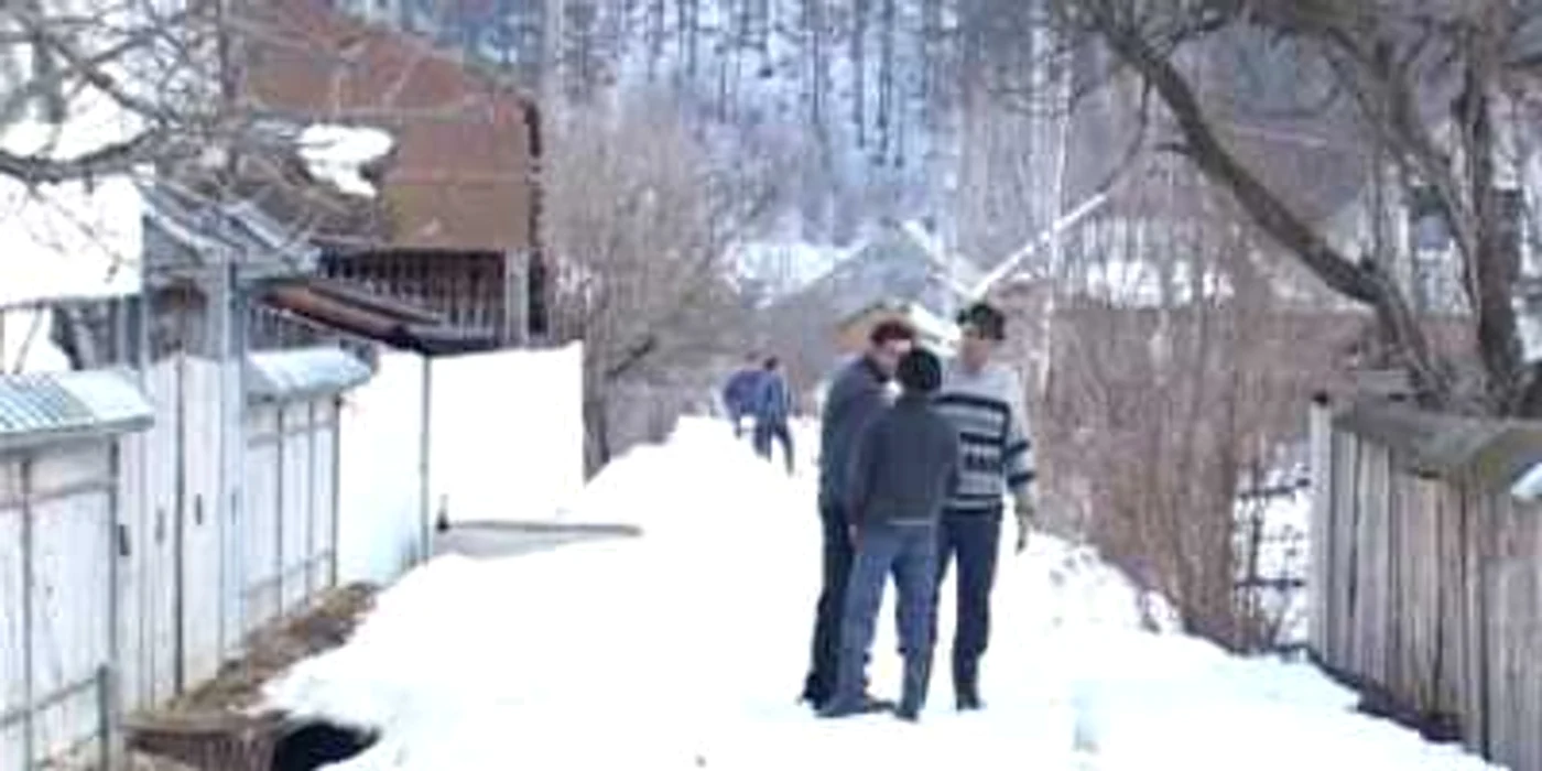 Vecinii din sat sunt îngroziți de grozăvia petrecută pe uliță 