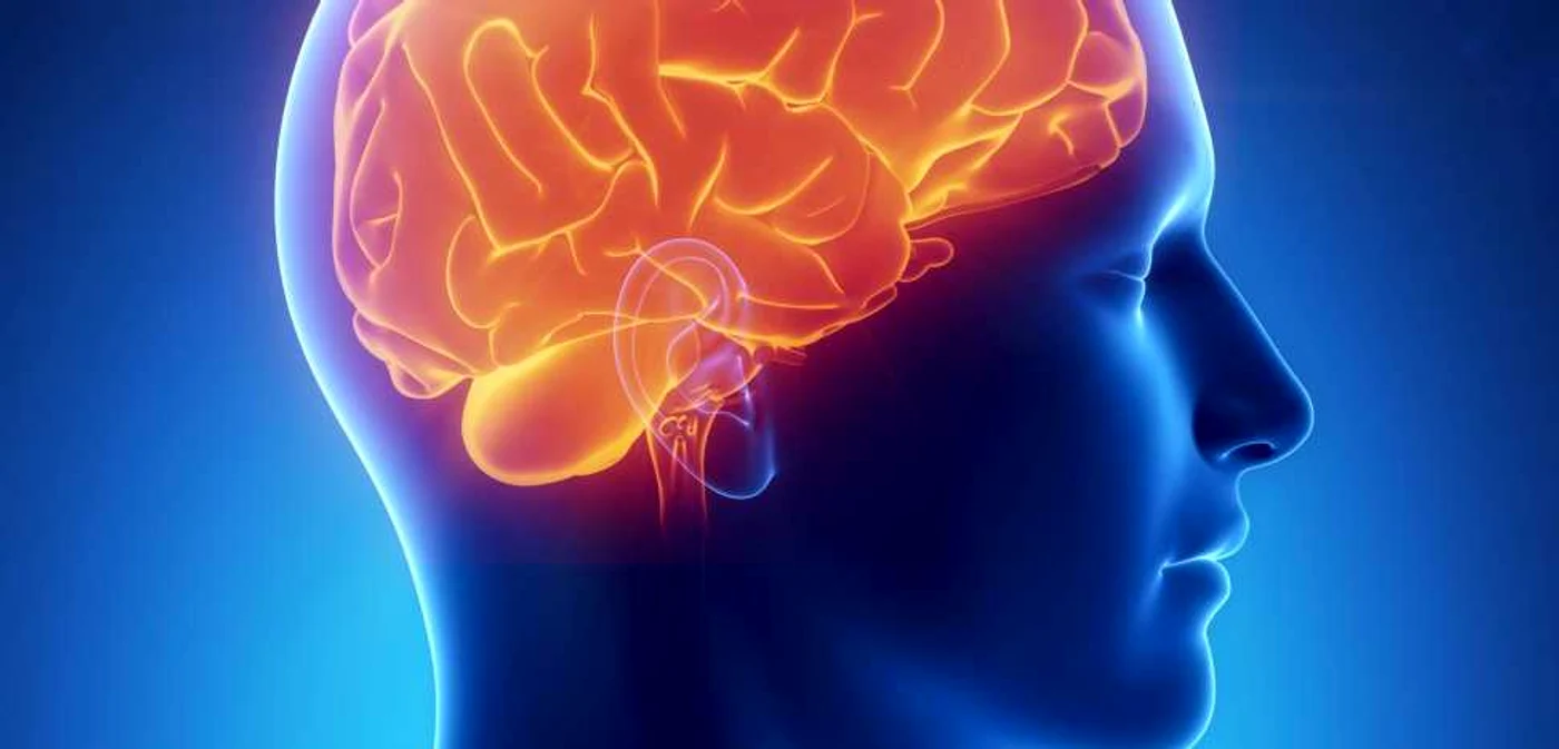 Traumatismele craniene suferite în tinereţe sunt risc de demenţă la bătrâneţe