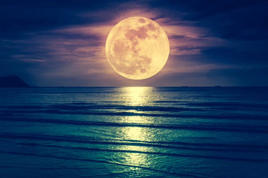 luna shutterstock 1044034966 jpg