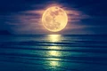 luna shutterstock 1044034966 jpg