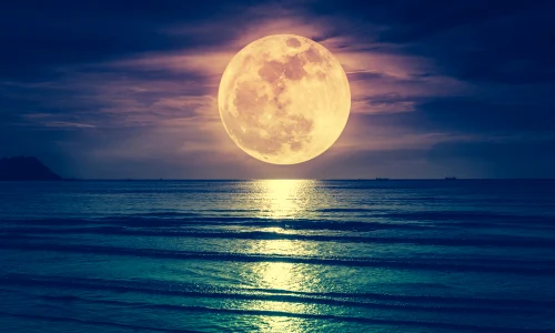 luna shutterstock 1044034966 jpg