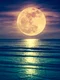 luna shutterstock 1044034966 jpg