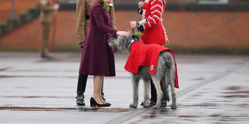 Lady Ghika și mascota Gărzilor Irlandeze, Seamus FOTO Profimedia jpg