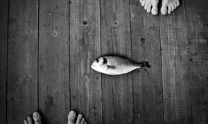 Paradigme privind minoritățile jpeg