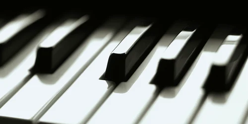 Festivalul este organizat de Fundaţia Culturală Societatea de Concerte Bistriţa