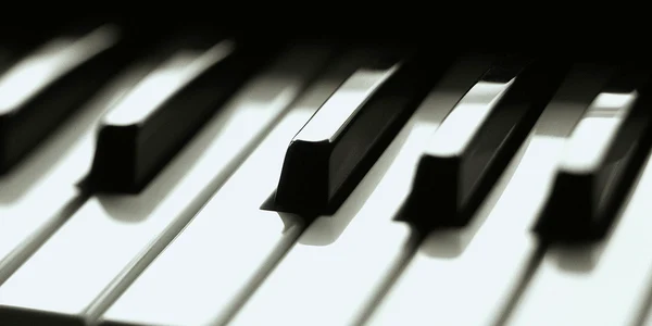 Festivalul este organizat de Fundaţia Culturală Societatea de Concerte Bistriţa
