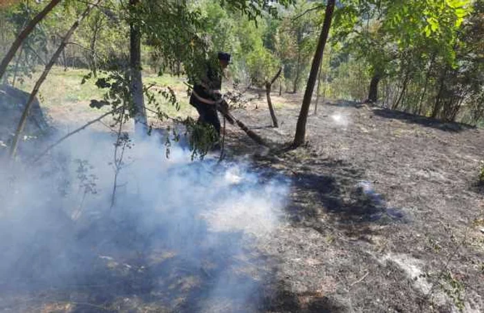 Incendiu la graniţa cu Parcul Naţional Buila - Vânturariţa din judeţul Vâlcea Foto ISU Vâlcea