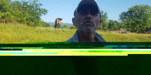 barbat amenda urs alba