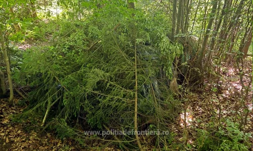 Țigări de contrabandă găsite ascunse în pădure Foto: Poliția de Frontieră jpg