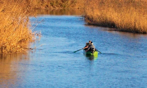 1 62635 original jpg jpeg