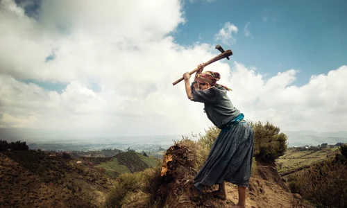 shutterstock 623156534 jpg