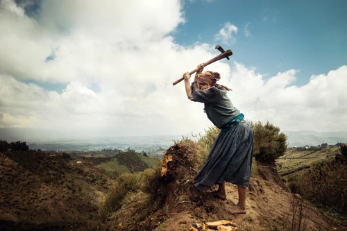 shutterstock 623156534 jpg