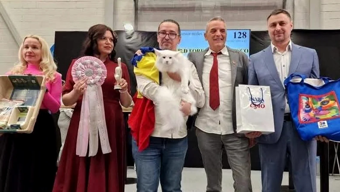 Trei trofee Baltic Winner 2025 pentru pisicile din România
