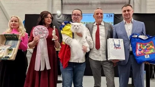 Trei trofee Baltic Winner 2025 pentru pisicile din România 
