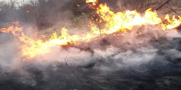 Incendii vegetaţie uscată