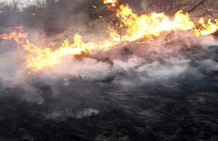 Incendii vegetaţie uscată