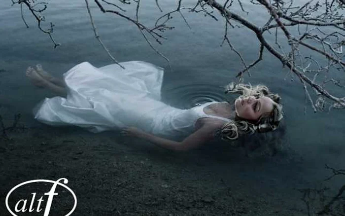 trash the dress