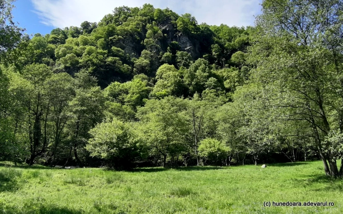 lacul gura apelor retezat foto daniel guta adevarul