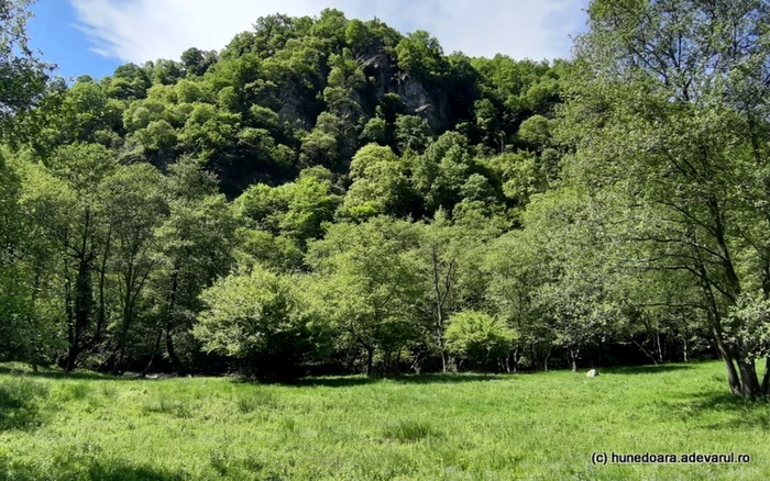 lacul gura apelor retezat foto daniel guta adevarul