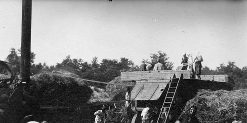 muncitori straini agricultura foto Library of Congress jpg