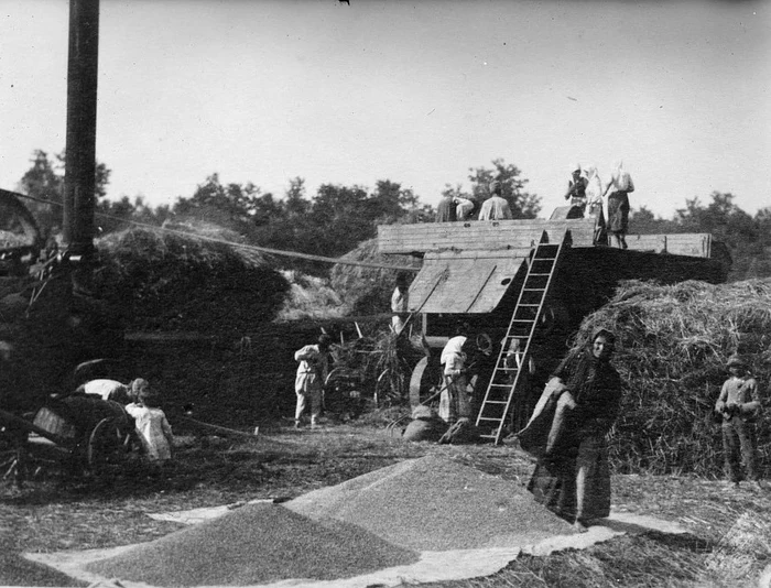 În România secolului XIX, străinii lucrau în agricultură. FOTO: Library of Congres