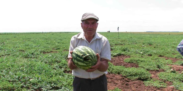 Foto: stiridebuzau.ro