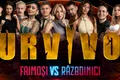 banner survivor jpg