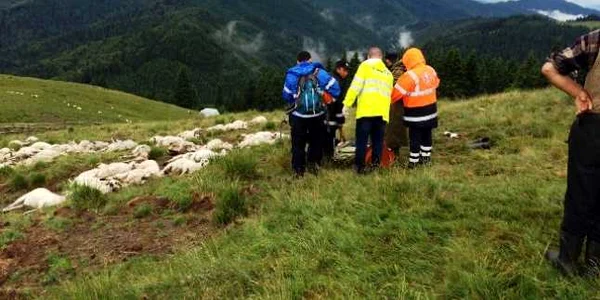 oi trasnite bucegi