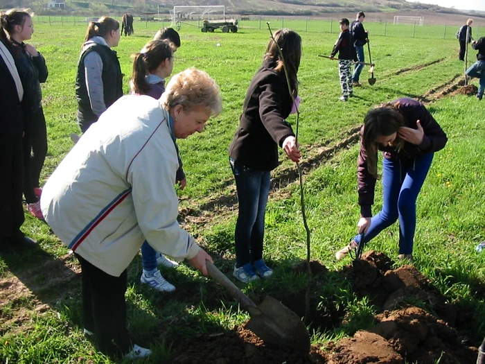 Până în acest moment s-au plantat circa 1.400 de puieţi